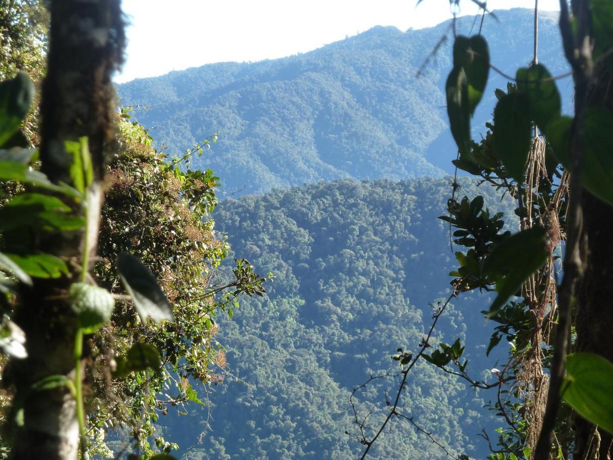 كوتاكاتشي Patricia And Ned'S Cloud Forest Farm المظهر الخارجي الصورة