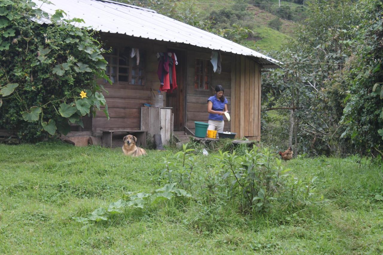 كوتاكاتشي Patricia And Ned'S Cloud Forest Farm المظهر الخارجي الصورة