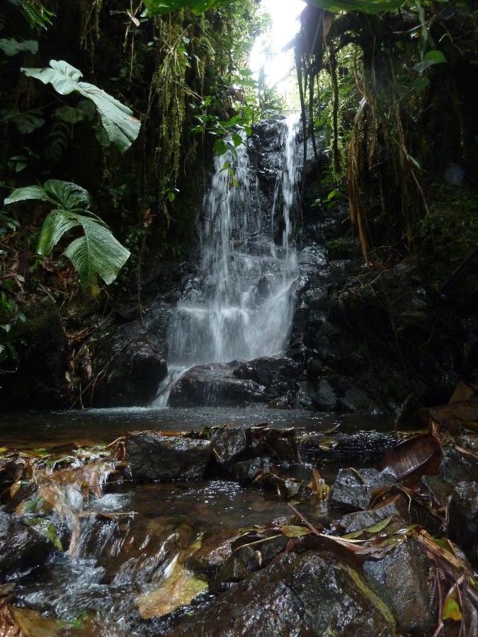كوتاكاتشي Patricia And Ned'S Cloud Forest Farm المظهر الخارجي الصورة